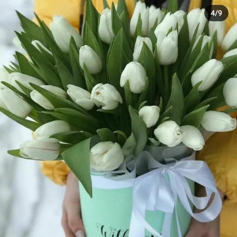 Коробка из 31 белых тюльпанов